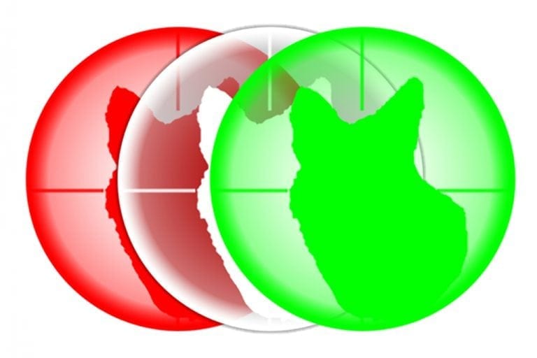 Coyote Reaper XXL Hunting Lights