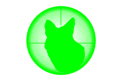 Predator & Hog Lights The Eradicator