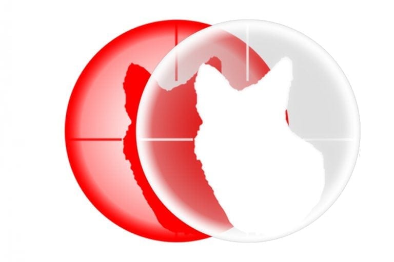 Coon Hunting Headlamps